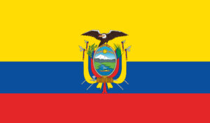 bandera11