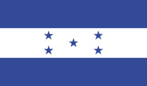 bandera20
