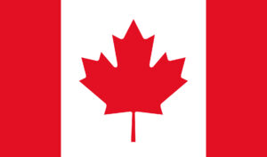 bandera6